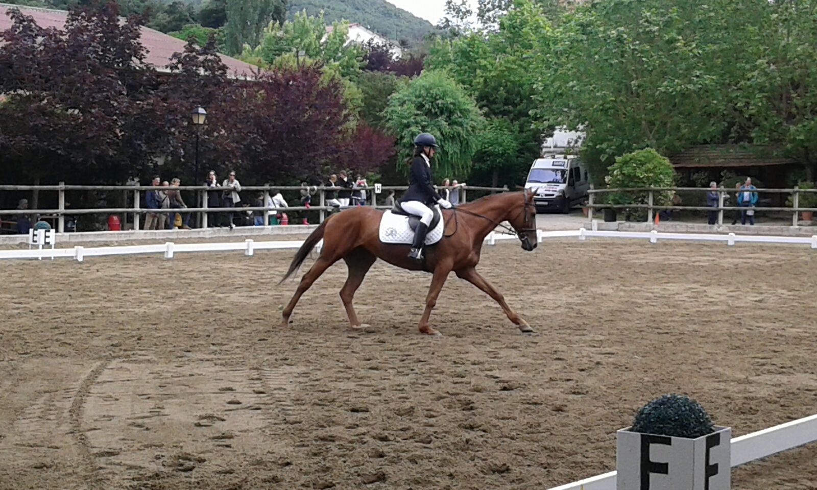 Añézcar acogió las finales de los Juegos Deportivos